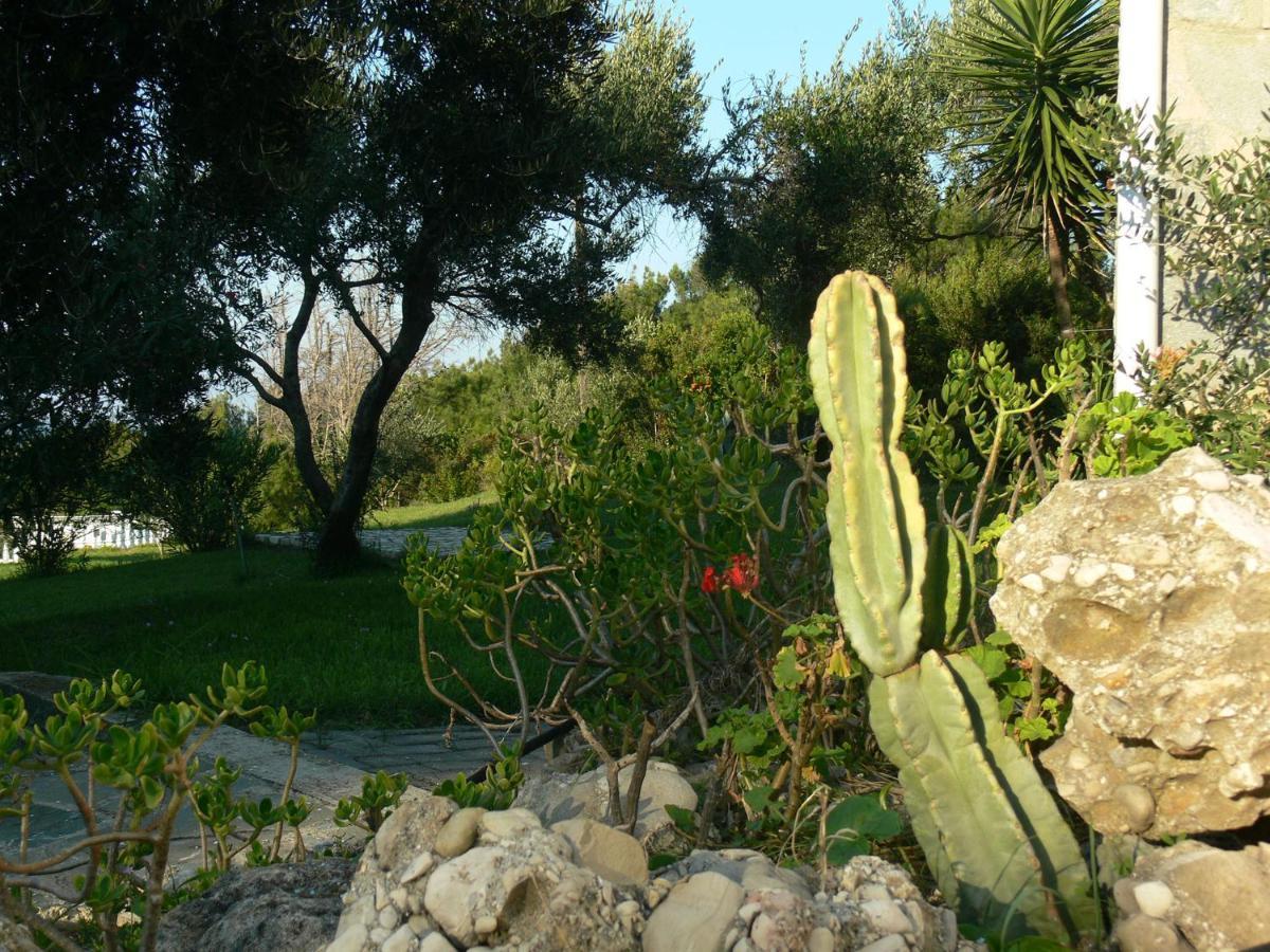 Villa Quietude Agios Stefanos Avliotes  Room photo